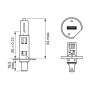 Lámpara Datacol H1 55W Pack 2 Unidades SUPER WHITE