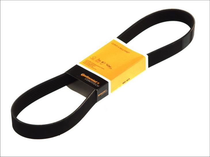 CONTINENTAL 8 PK 1226 - Correa trapecial poli V vegaparts.es