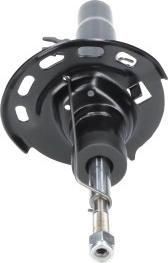 Kavo Parts SSA-10646 - Amortiguador vegaparts.es