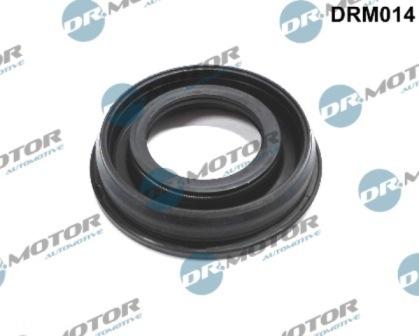 Lizarte DRM014 - Protección térmica, sistema inyección vegaparts.es