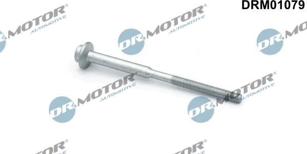 Lizarte DRM01079 - Tornillo, soporte inyector vegaparts.es