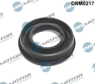 Lizarte DRM0217 - Protección térmica, sistema inyección vegaparts.es