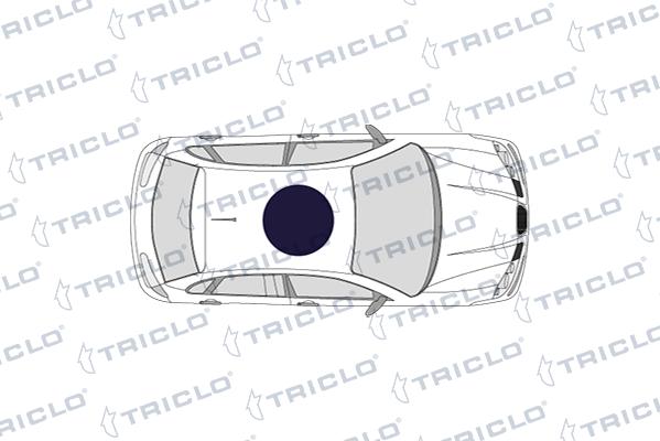 Triclo 143090 - Interruptor, elevalunas vegaparts.es