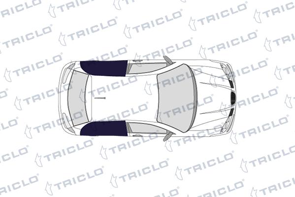 Triclo 146173 - Interruptor, elevalunas vegaparts.es