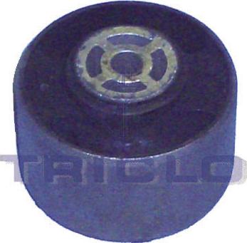 Triclo 361602 - Soporte, motor vegaparts.es