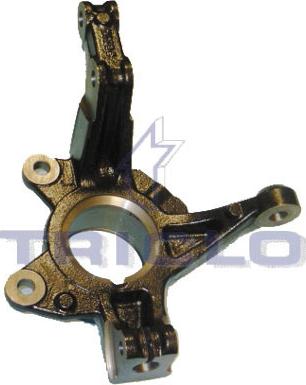 Triclo 765880 - Muñón del eje, suspensión de rueda vegaparts.es