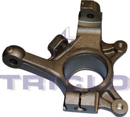 Triclo 765773 - Muñón del eje, suspensión de rueda vegaparts.es