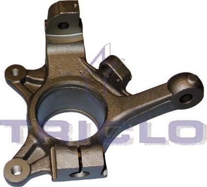 Triclo 765772 - Muñón del eje, suspensión de rueda vegaparts.es