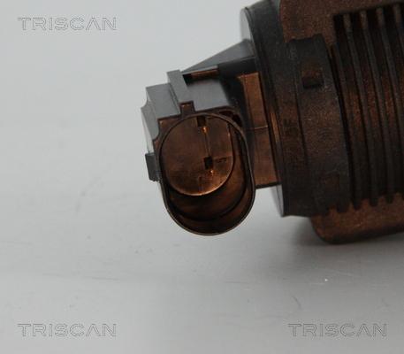 Triscan 8813 15032 - Válvula EGR vegaparts.es