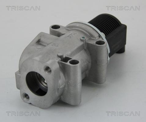 Triscan 8813 15032 - Válvula EGR vegaparts.es