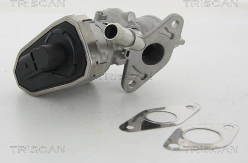 Triscan 8813 16100 - Válvula EGR vegaparts.es