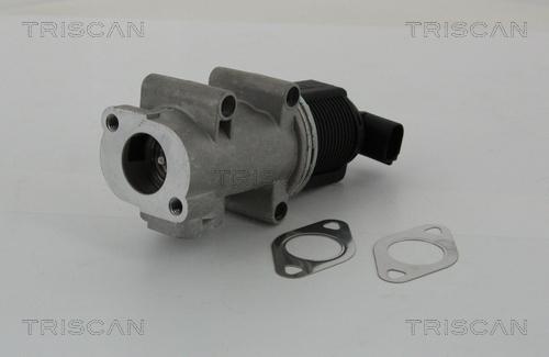 Triscan 8813 10005 - Válvula EGR vegaparts.es