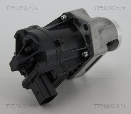 Triscan 8813 10006 - Válvula EGR vegaparts.es