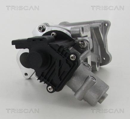 Triscan 8813 10007 - Válvula EGR vegaparts.es