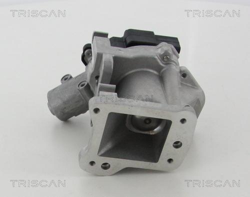 Triscan 8813 10007 - Válvula EGR vegaparts.es