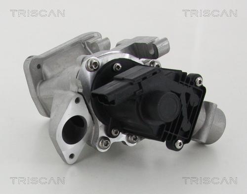 Triscan 8813 10007 - Válvula EGR vegaparts.es