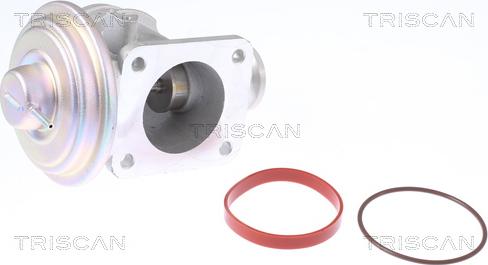 Triscan 8813 11004 - Válvula EGR vegaparts.es