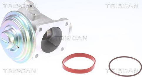 Triscan 8813 11003 - Válvula EGR vegaparts.es