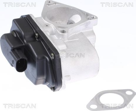 Triscan 8813 29003 - Válvula EGR vegaparts.es
