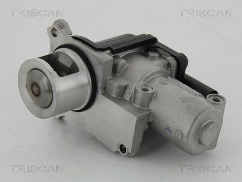 Triscan 8813 29002 - Válvula EGR vegaparts.es