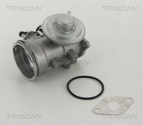 Triscan 8813 29302 - Válvula EGR vegaparts.es