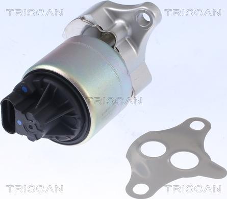 Triscan 8813 21001 - Válvula EGR vegaparts.es
