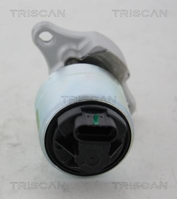 Triscan 8813 21001 - Válvula EGR vegaparts.es