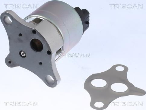 Triscan 8813 21001 - Válvula EGR vegaparts.es